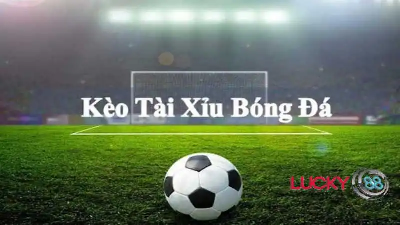 Thông tin sơ lược về kèo tài xỉu bóng đá